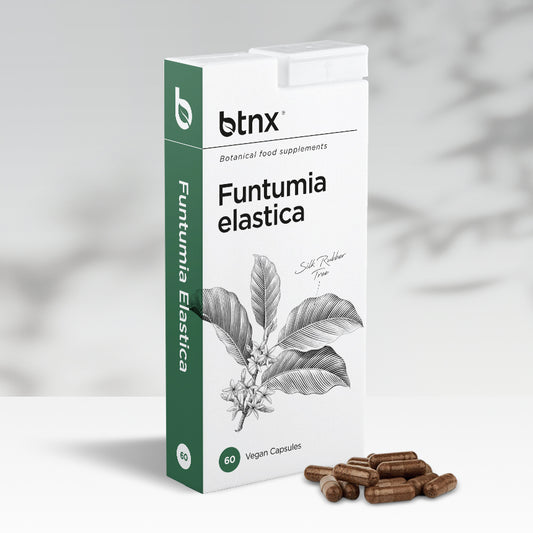 Funtumia elastica capsules