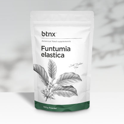 Funtumia elastica powder